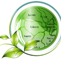 Codesal.org